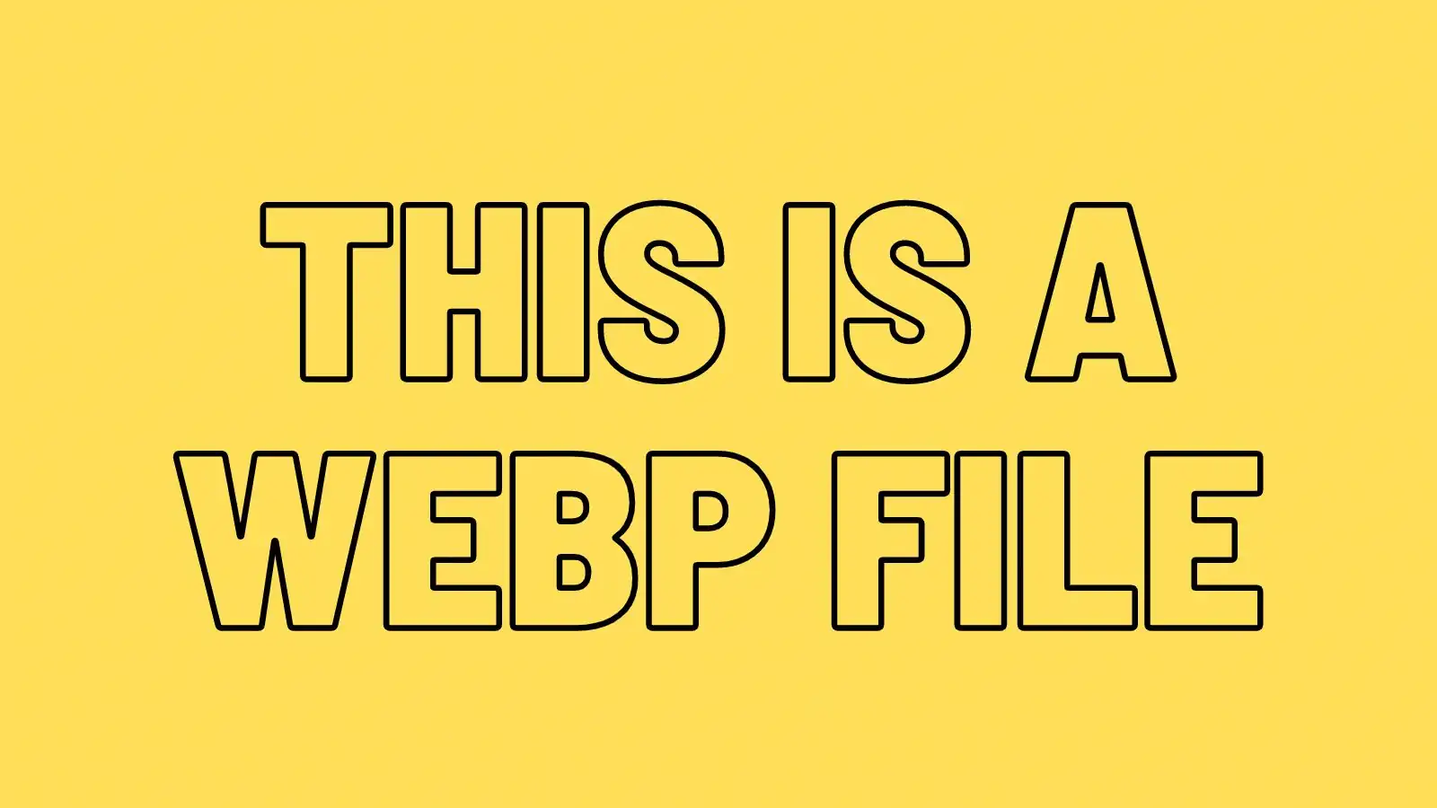 What Are WebP Images? WebP Image Format Explained